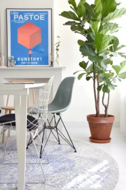 Hay J77 Stoel Gelakt Beuken, Slate Blue 34 Hay J77 Stoel Gelakt Beuken, Slate Blue -Hay Verkoopwinkel x886x886 myflinders eetkamer vitra eames dsr stoel hay j77 stoel pastoe sm05 stoel met zitkussen.jpg.pagespeed.ic .FIH3ReiB3m