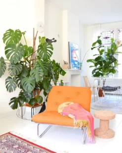 Hay J77 Stoel Gelakt Beuken, Slate Blue 37 Hay J77 Stoel Gelakt Beuken, Slate Blue -Hay Verkoopwinkel x886x886 myflinders woonkamer vitra eames house bird cork bijzettafel pastoe stoel hay stoel.jpg.pagespeed.ic .rHFzLErIxt